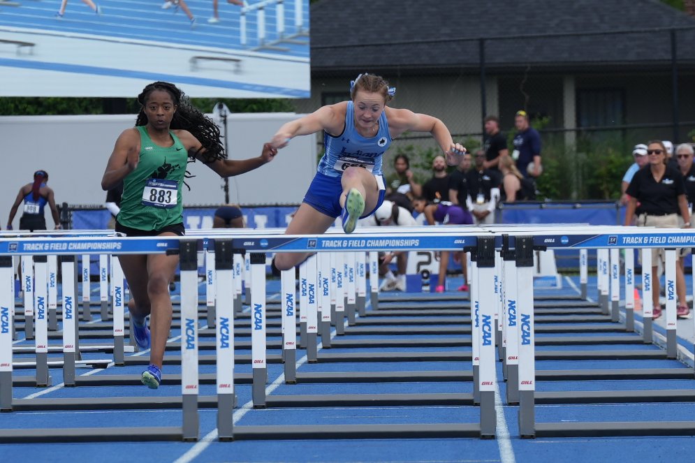 Sycamore Track/XC tweet media