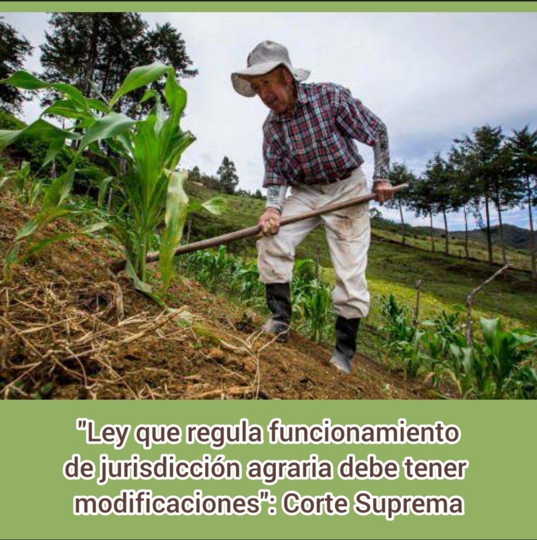 PazDialogo's tweet photo. Estamos totalmente de acuerdo con la @CorteSupremaJ. El #DerechoCivil debe estar como soporte obligado para hacer funcionar la #JurisdicciónAgraria 

Señores del #Congreso y del #Ejecutivo hagan realidad lo antes posible, un mecanismo que puede prevenir más #Violencia https://t.co/IHNwVXOge6