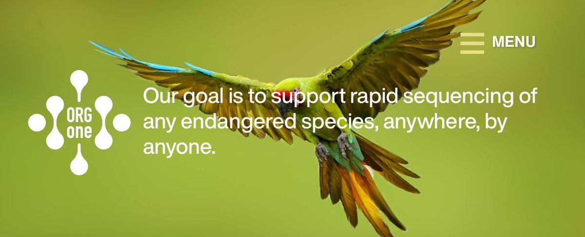 kara_dicks's tweet photo. Over 400Gb of sequence data already for our 10 endangered species! Wow!

LC Day 2 has wrapped but our https://t.co/TxEcgAPWLz sequencing will continue into Day 3….

#nanoporeconf https://t.co/i1nm6UoOj1