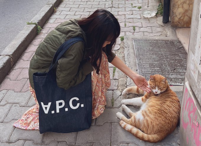 🐈 https://t.co/rr49nV5jhK