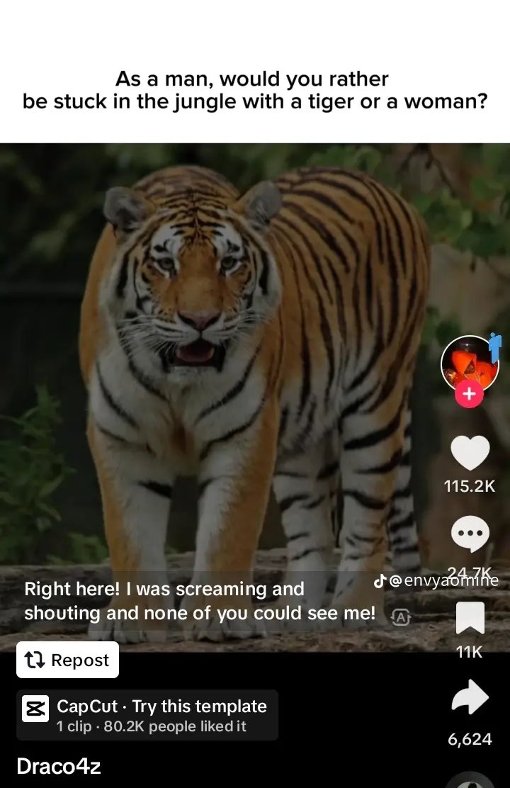 Alexander⁷ tweet media