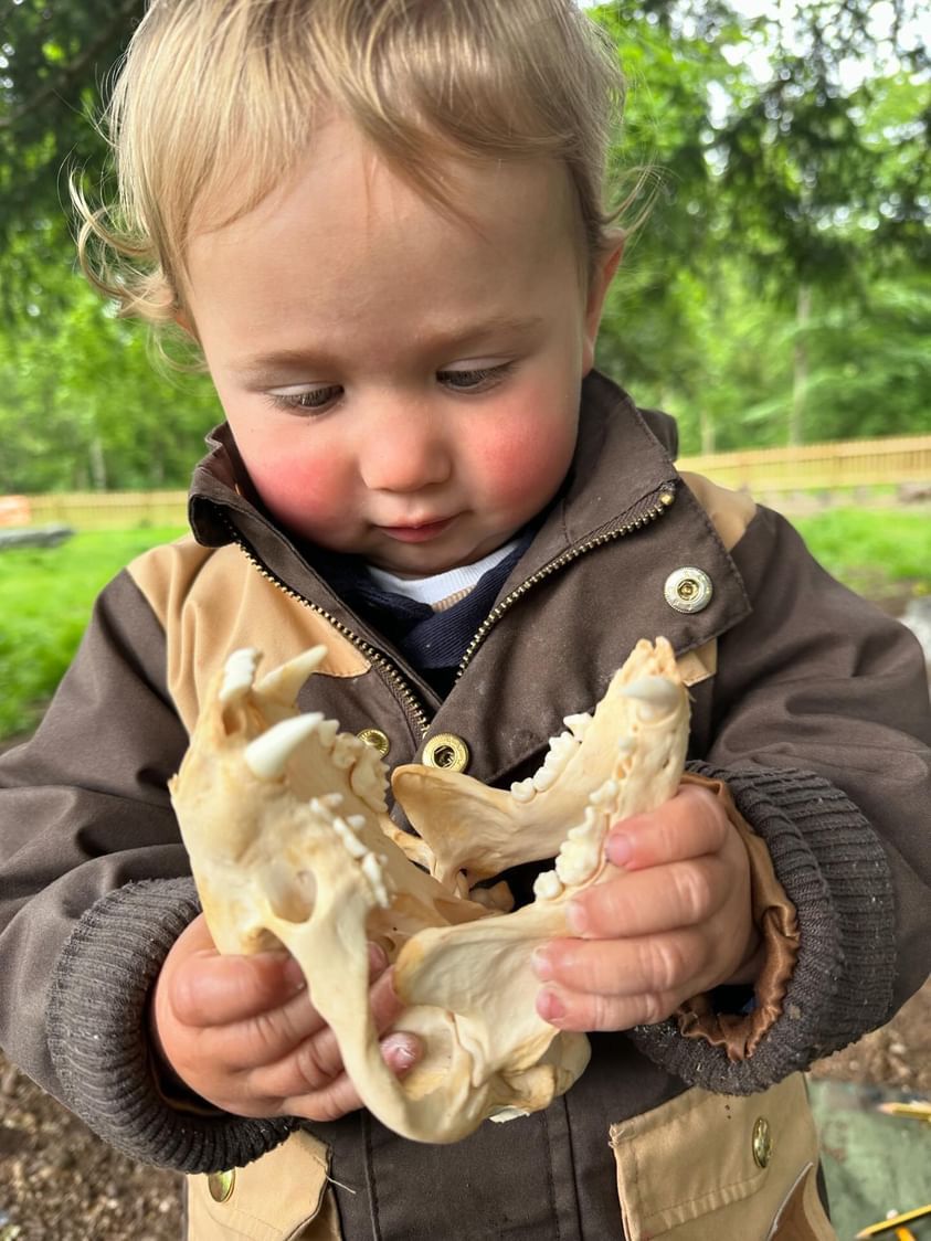 TindersticksCIC's tweet photo. Look at these amazing pictures from last week’s Little Owls! Thanks Joanne for sharing! 
Little Owls returns after the half term break. Free outdoor adventures for the under 5’s: 
https://t.co/RLgLuzfXbn https://t.co/tZCERsSFq6 https://t.co/0kzOYqMnev