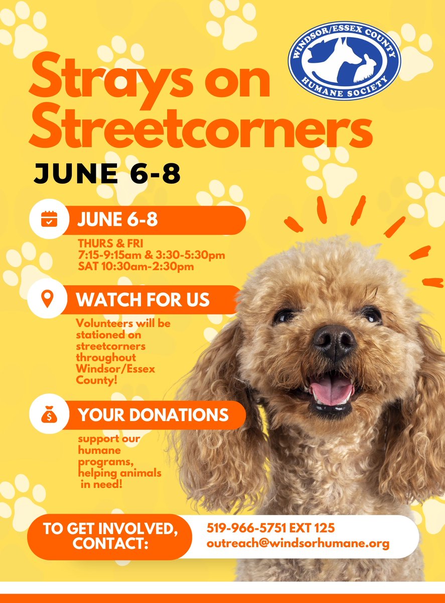 Virgin Radio Windsor tweet media