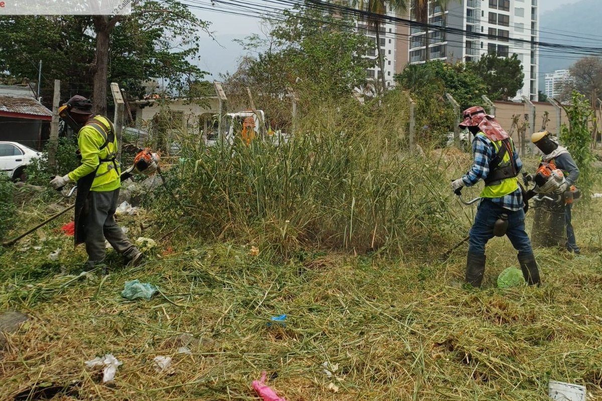 GerAmbienteSPS's tweet photo. Nuestro equipo de la Gerencia de Ambiente continúa con los trabajos de chapea y limpieza de solares baldíos para mantener los espacios libres de maleza y basura. 

La administración del alcalde Roberto Contreras trabaja por una ciudad más limpia.

#SanPedroSula #sps https://t.co/DoyGtYDLTV