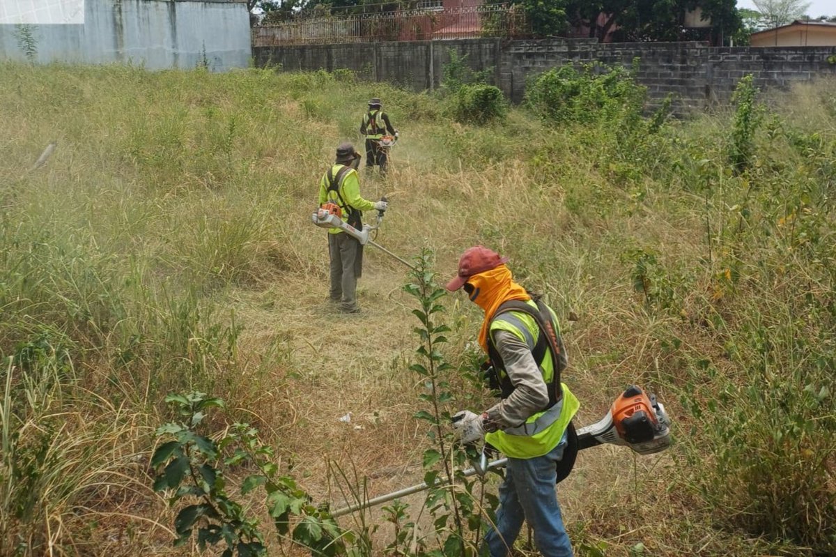 GerAmbienteSPS's tweet photo. Nuestro equipo de la Gerencia de Ambiente continúa con los trabajos de chapea y limpieza de solares baldíos para mantener los espacios libres de maleza y basura. 

La administración del alcalde Roberto Contreras trabaja por una ciudad más limpia.

#SanPedroSula #sps https://t.co/DoyGtYDLTV