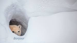 Très/Rt. Hon. Ryan Chang 張世傑, PC/CP, CC, MP/Député tweet media