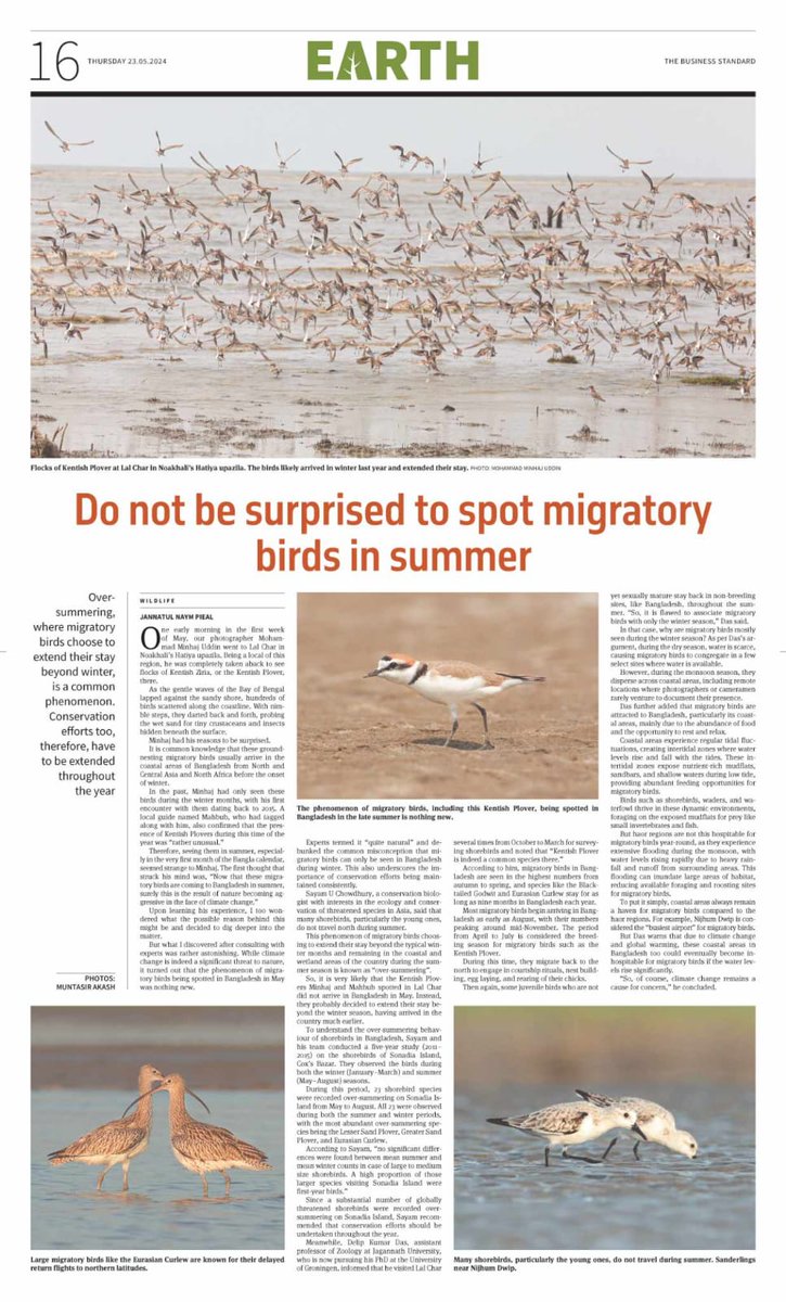 The Business Standard interviewed me about #shorebirds presence outside winter at Bangladesh coast. Associating a particular season while they are omnipresent outside of it creates a wrong image in public mind & requires avoiding #wintering to #migrant. tbsnews.net/environment/na…