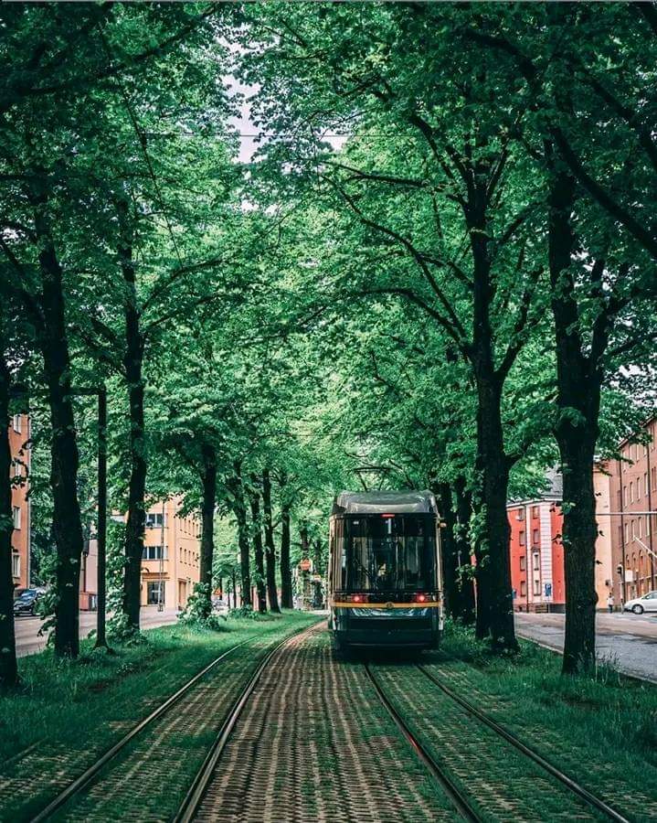 Finlandiya'da yeşiller içinde bir tramvay yolu...