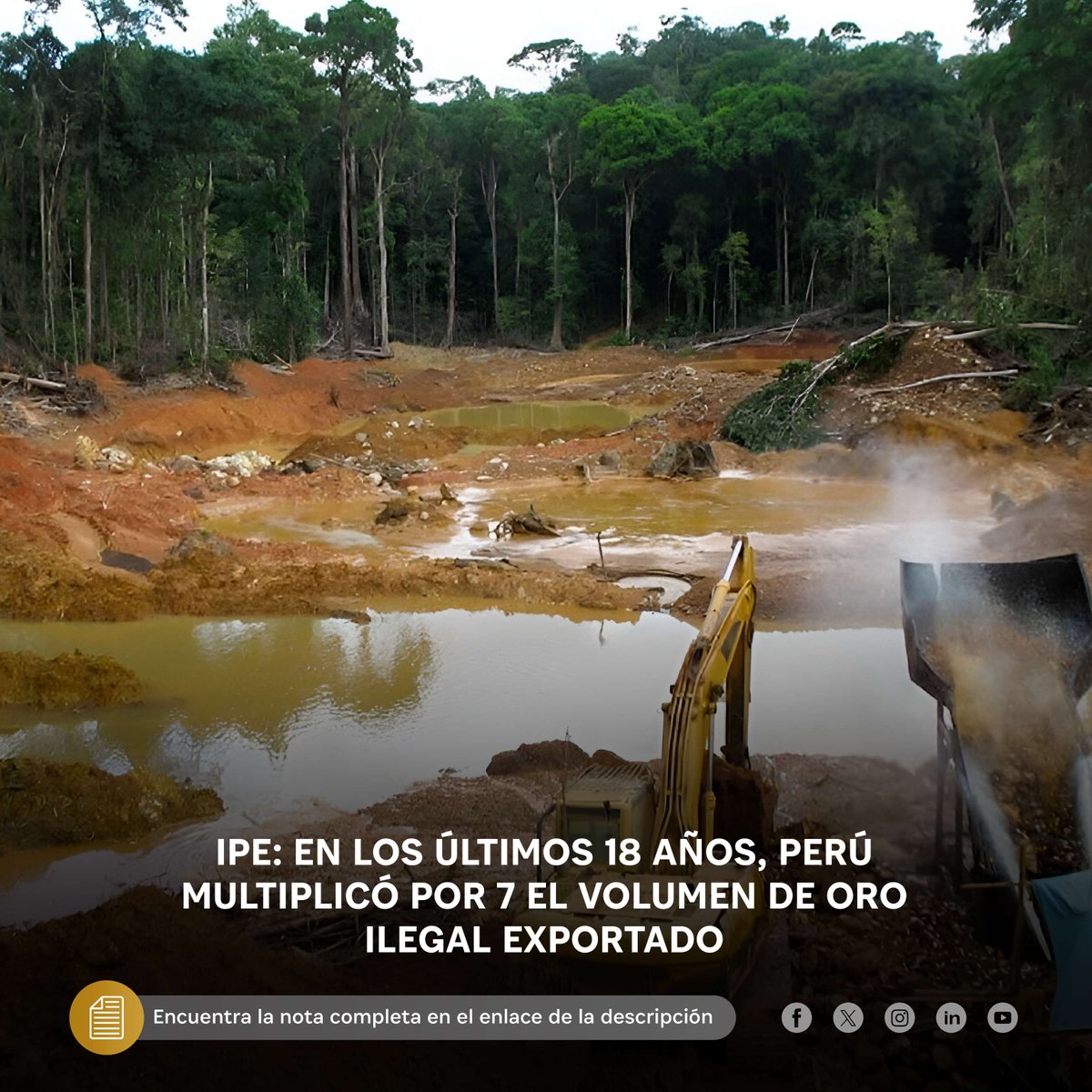 IIMPOficial's tweet image. IPE: En los últimos 18 años, Perú multiplicó por 7 el volumen de oro ilegal exportado

Entérate más aquí: 👇
ow.ly/A7ME50RT3aI

#IPE #Minería #Perú #Oro