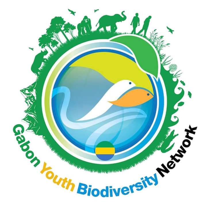 BeverlyDenold's tweet photo. Journée mondiale de la BIODIVERSITÉ : l'ONG La Liane et le Chapitre GYBN-Gabon en action
En tant que Secrétaire général adjoint du Chapitre GYBN-Gabon, j'ai eu l'honneur de participer à l'activité conjointe de dépollution de la zone de Ambowé, danslegrand bras de mer de la Ntsini https://t.co/jy5cYCjHdx