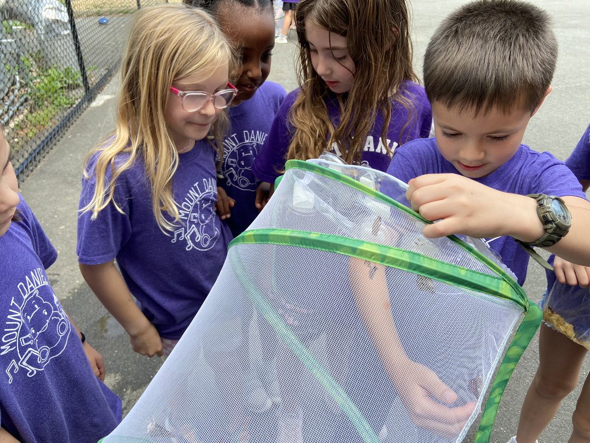 Releasing our butterflies! 🦋 <a href="/mdhippos/">Mount Daniel School</a> <a href="/FCCPS/">Falls Church City Public Schools</a>