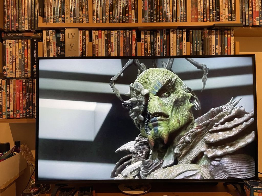 Stephen Gibbons tweet media