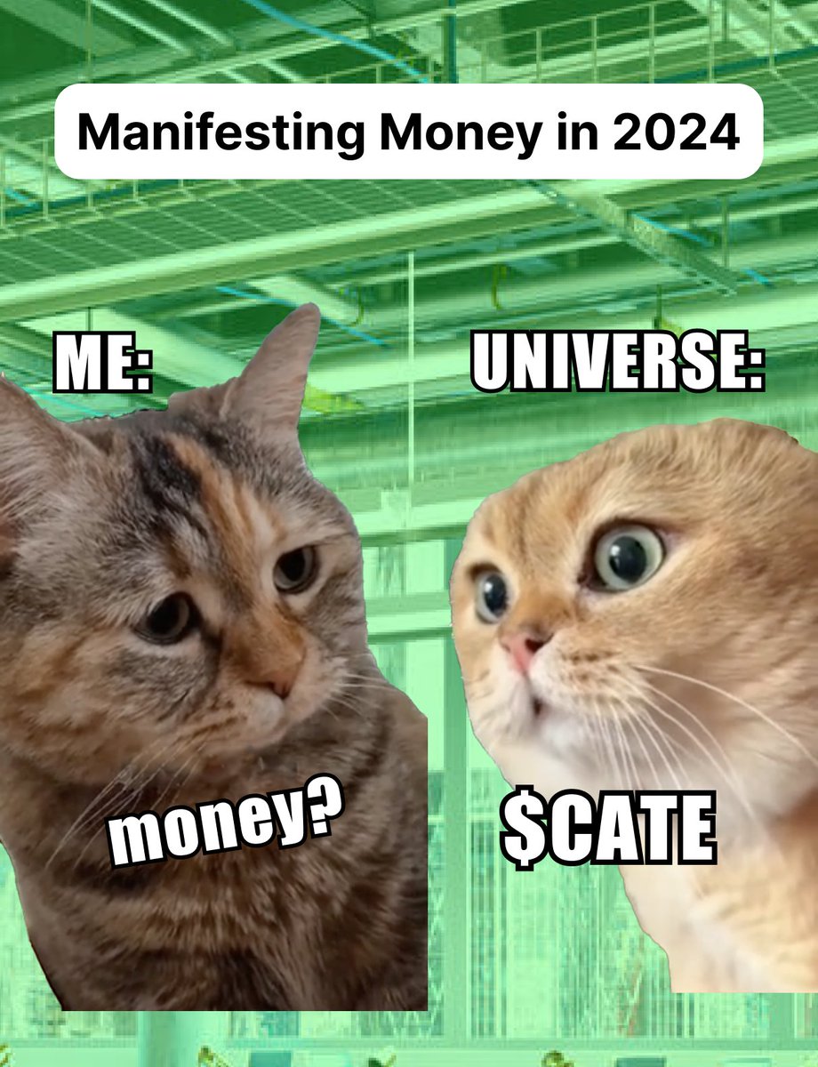 How you #manifest money right now!
-> hodl $CATE

Let the universe do the rest 🐱🧘‍♀️✨🪙
#CateCoin #wealth #manifestation