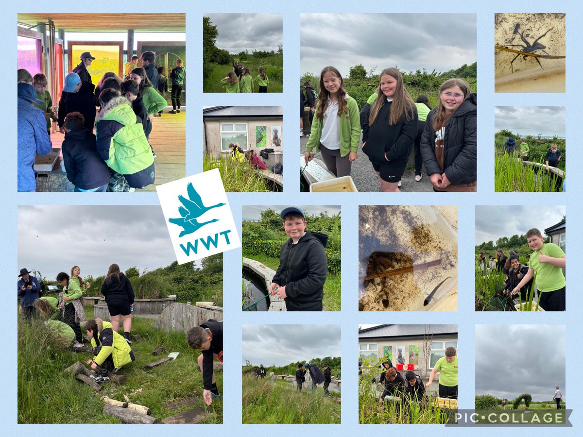 upper_y5's tweet photo. We had a fantastic trip to the @WWTLlanelli this week. Pond dipping, bug hunting, bird spotting and some fantastic facts! We also learnt the importance of protecting our Wetlands. #scienceandtechnology #caringforourenvironment #habitats #outdoorlearning ๐๐๐ชฒ https://t.co/sT7rkdVyKx