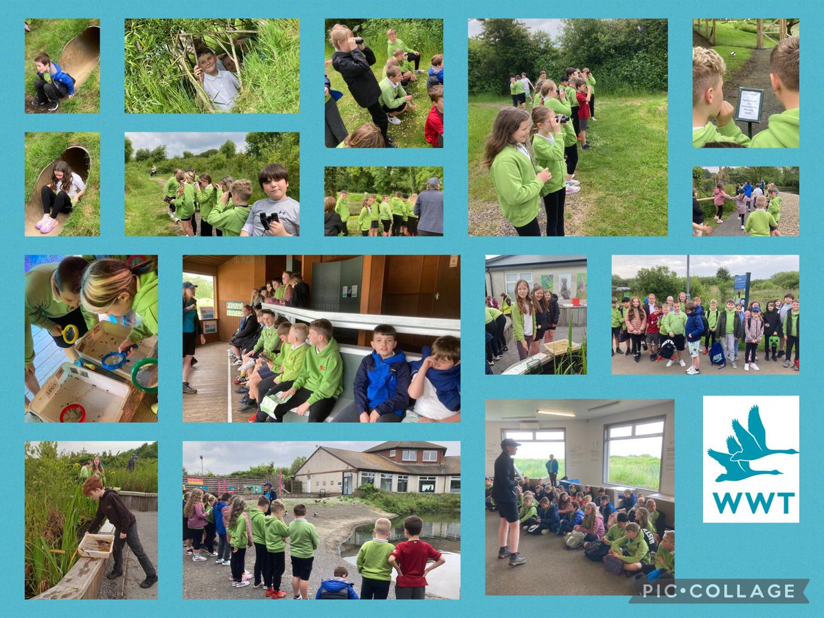 upper_y5's tweet photo. We had a fantastic trip to the @WWTLlanelli this week. Pond dipping, bug hunting, bird spotting and some fantastic facts! We also learnt the importance of protecting our Wetlands. #scienceandtechnology #caringforourenvironment #habitats #outdoorlearning ๐๐๐ชฒ https://t.co/sT7rkdVyKx