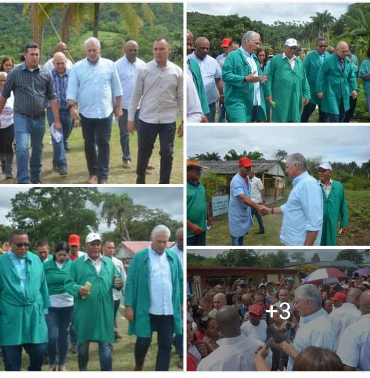 ☕️| La UEB Palanque productora de café también fue visitada. Aunque la temporada cafetalera concluyó, el Presidente conoció aquí una muestra de los principales renglones que produce esta entidad como parte de su estrategia  de diversificación.
#UJCdeCuba 
#Yosigo