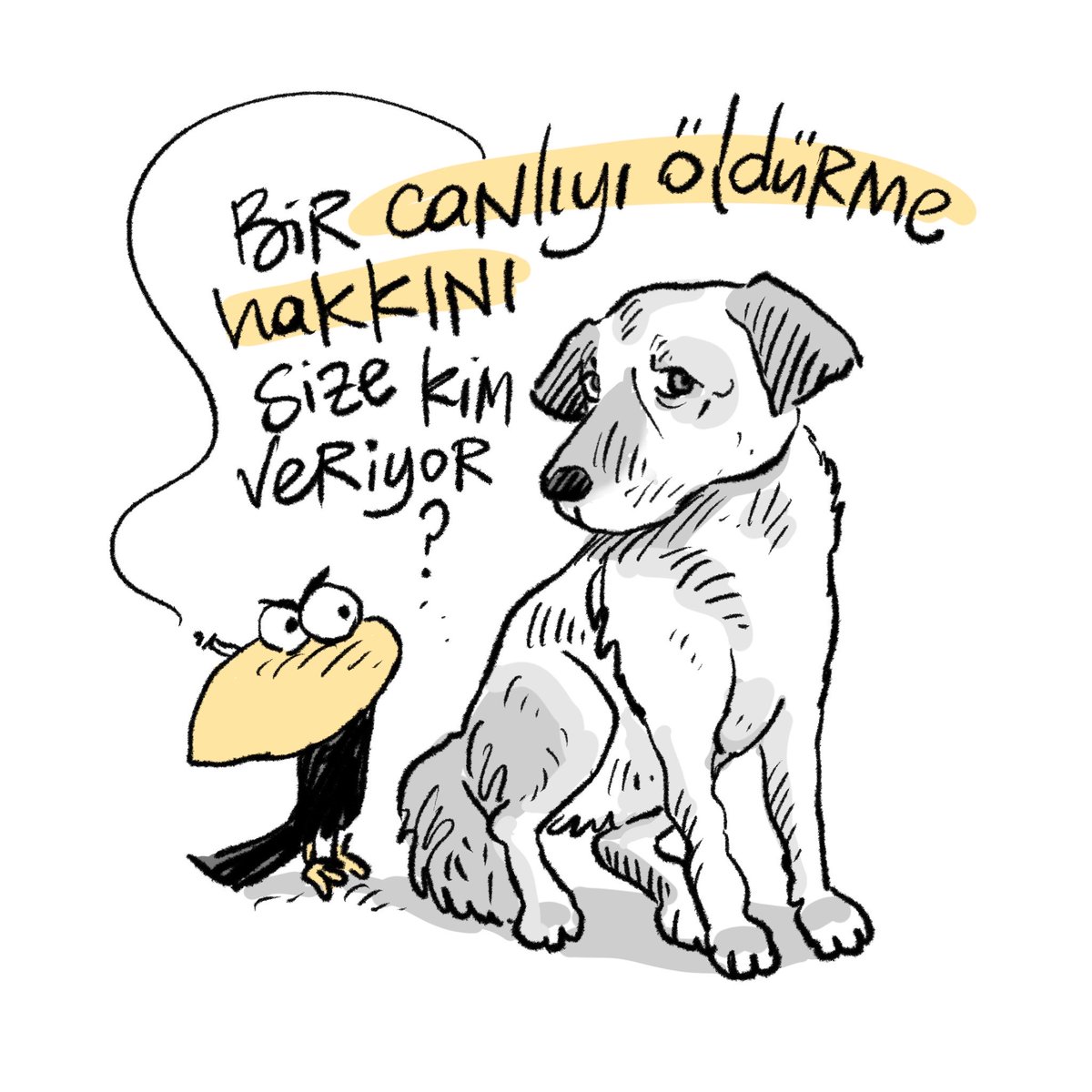 Diren3333's tweet photo. Siz kim oluyorsunuz da buna karar veriyorsunuz? #hayvankatliamıistemiyoruz https://t.co/QDkh1gegT4