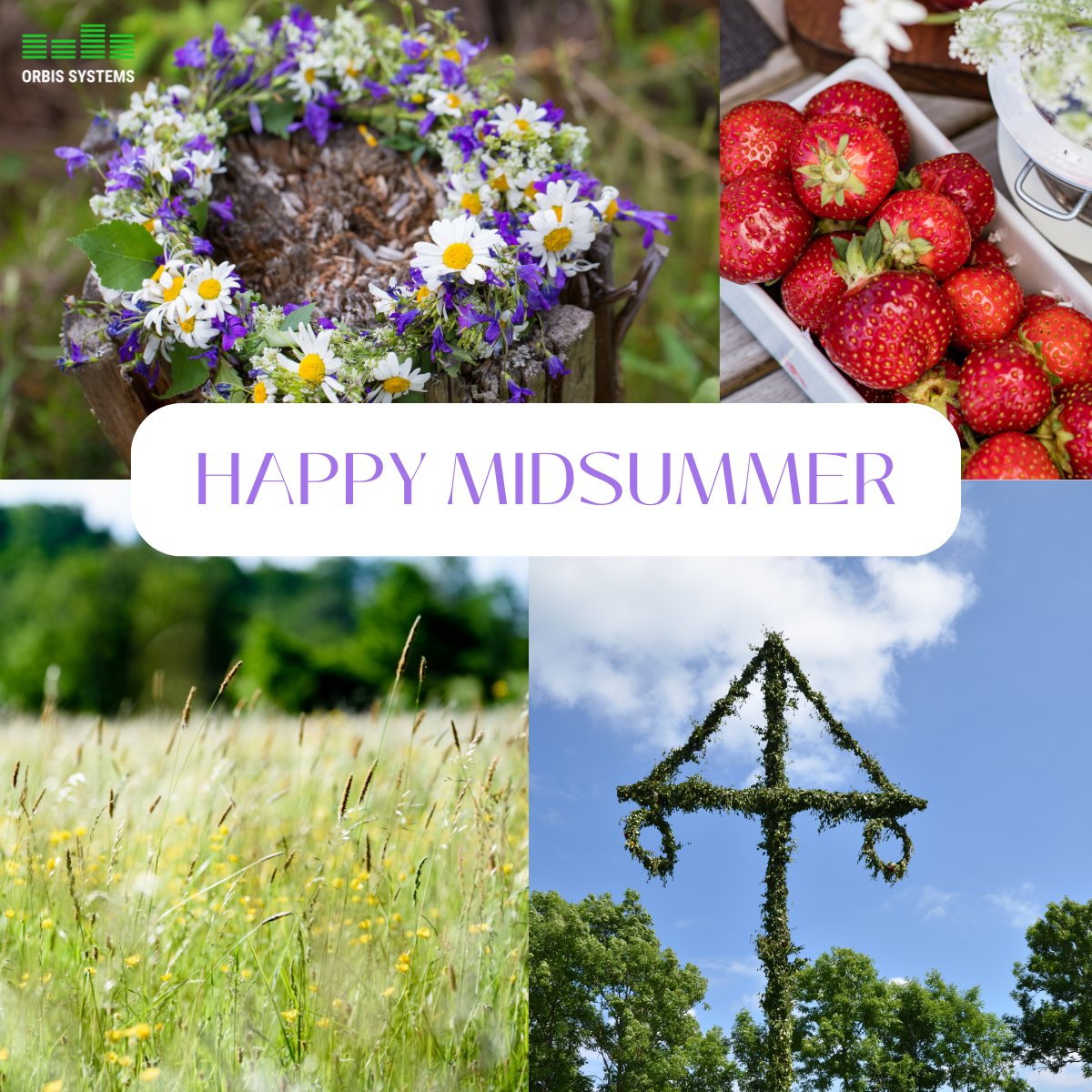 OrbisSystems's tweet photo. Orbis Systems wishes everyone a wonderful Midsummer! We hope that you get to spend time outside with your family and loved ones and enjoy the beautiful weather ☀️

#orbissystems #midsummer https://t.co/XNq0sxqKjl