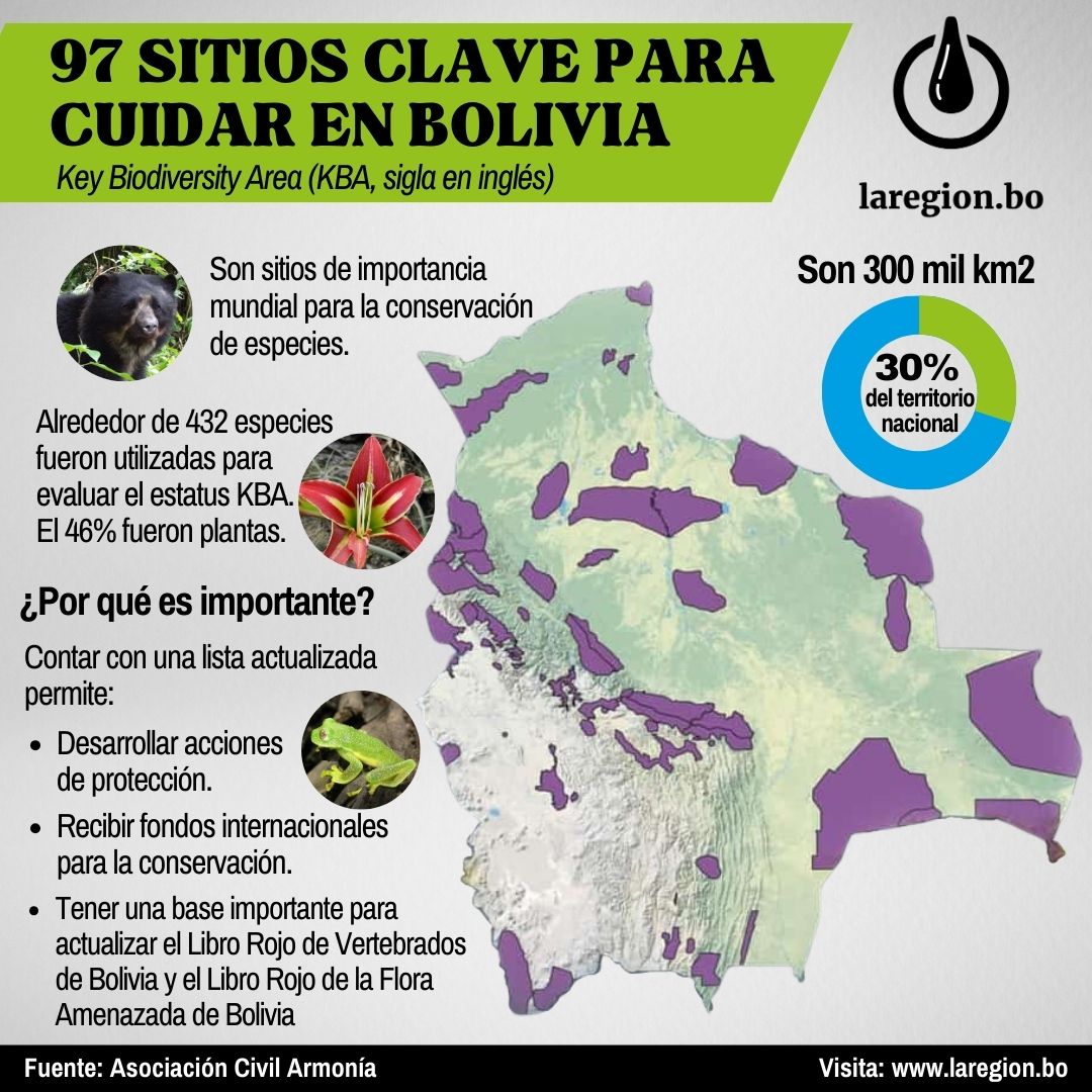 🔎 Durante dos años, expertos trabajaron en la actualización de la lista de las áreas claves de biodiversidad en Bolivia🇧🇴.

¿Por qué es importante esta actualización? Te lo contamos en esta infografía.

¿Quieres saber más? Ingresa a aquí👇 laregion.bo/kba-bolivia-ti…