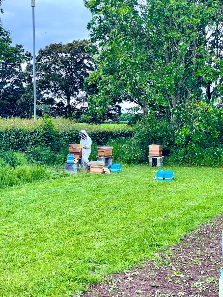 We have established a new apiary at @HarperAdamsUni to further enhance our existing @HAU_Entomology facilities!

This will provide opportunities for research across the entire university, from vets to food scientists and everything in between. It will also act as a teaching