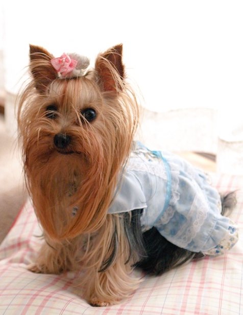 プリンセス　１８歳だね
虹🌈の皆と一緒に楽しめるように
今年もケーキにメロン　焼き芋さん
い〜っぱい用意したから
仲良く食べてね
おめでとう💐