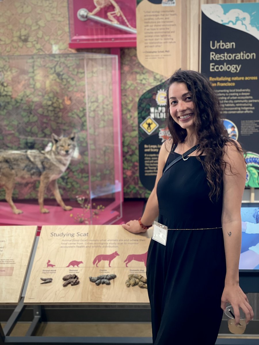 Here is me BEAMING while standing in front of the new California: State of Nature exhibit at the @calacademy! What an incredible privilege to have contributed to the development of an #urbanwildlife feature (look scat!). Come see it TONIGHT at NightLife!💩🧬🐾