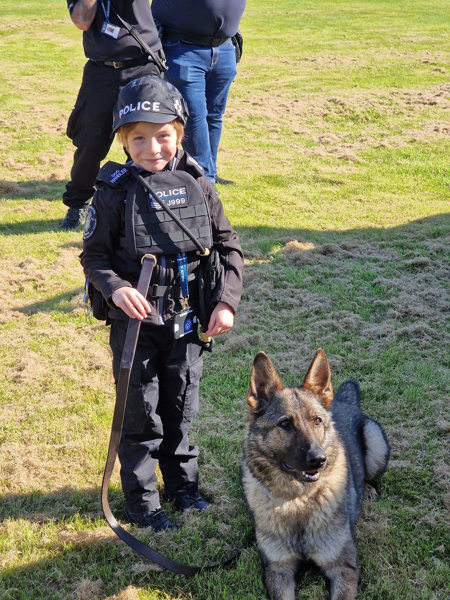Sgt.Jackson On Patrol tweet media