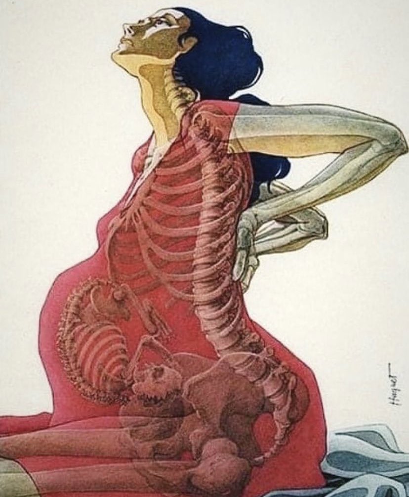 annamlulis's tweet image. “During pregnancy, some baby cells migrate into the mother's bloodstream and then return to the child. It's called "mother-fetal microchimerism".

For 41 weeks, the cells mix and circulate back and forth, and, after the baby is born, many of these cells remain in the mother’s…