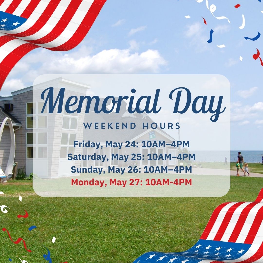 SeacoastSciCtr's tweet image. Planning a trip to the #nhseacoast for #memorialdayweekend? Add a visit to SSC!  We will be open every day through Monday, 5/27 10am-4pm. Come explore our aquariums &amp;amp; interactive exhibits; and relax along the shore in #odiornepointstatepark.