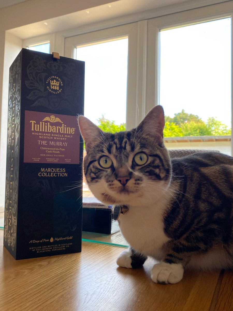 Tonight’s dram of choice selected by #WhiskyTheCat The latest Marquess Collection release from Tullibardine; The Murray Châteauneuf-du-Pape Cask. <a href="/Tullidistillery/">Tullibardine Whisky</a> #Dramlaxing #Scotch #Whisky