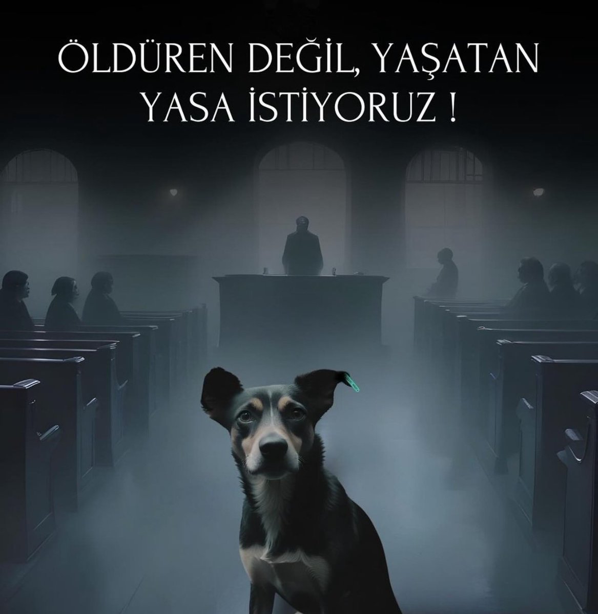 !!!!!!!!!!!!!!!!!!!!!!!!!!!!