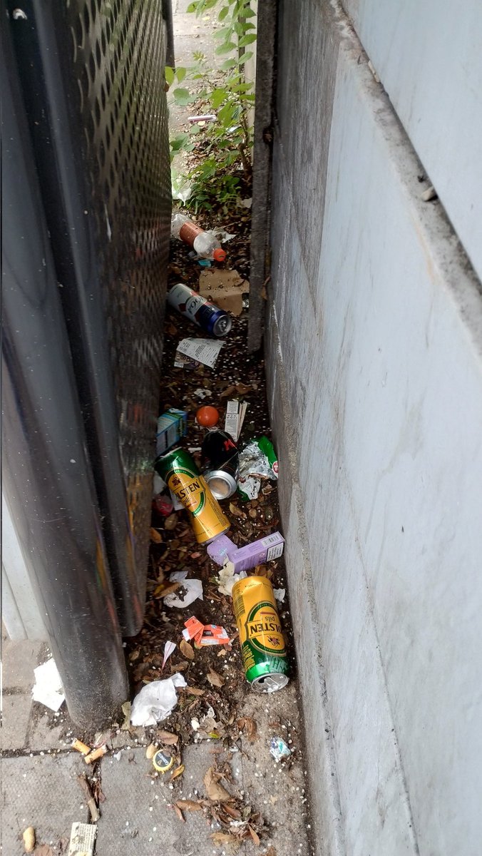 I have reported the waste behind this bus stop, instead of cleaning it myself. The street cleaners have clearly decided to ignore it as it is like this every single week. @LewishamCouncil are a failing council and are breaking the law. #litter #rubbish #se6 #catford @JanetDaby