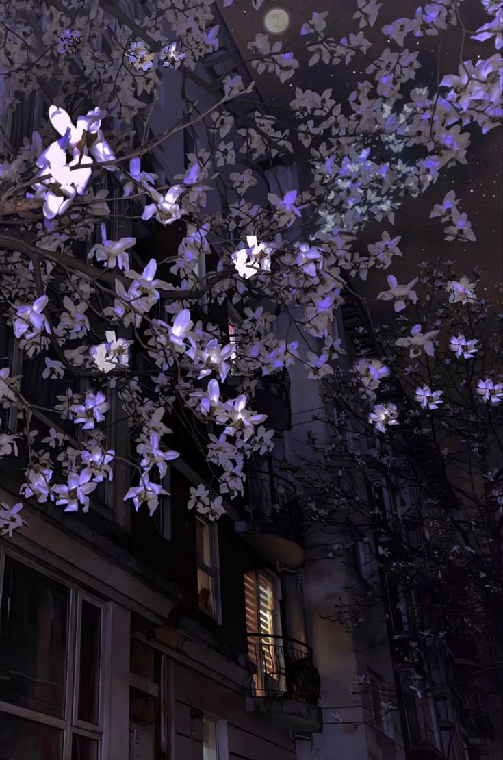 violettweets_'s tweet photo. violet flowers. https://t.co/3XkwoLgExf
