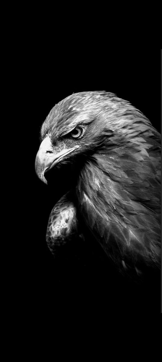 kemalelvan's tweet photo. https://t.co/d1FZy6bu1m