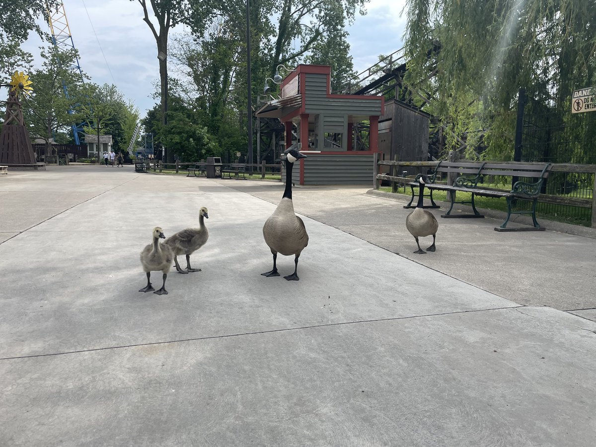 TonyClarkCP's tweet photo. All families are welcome at America’s Roller Coast®️. https://t.co/QnfFya3HLf