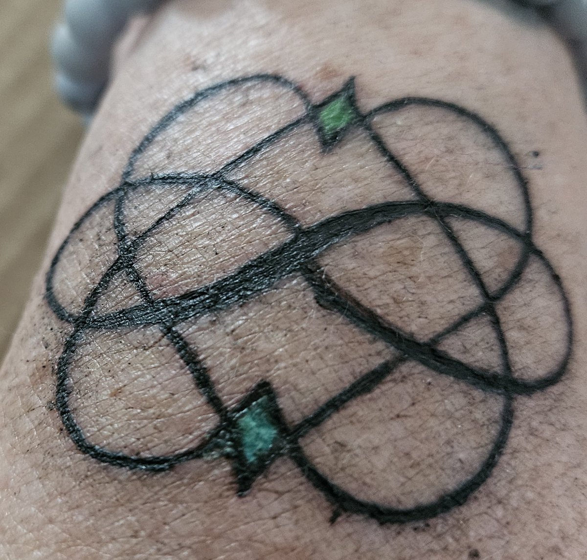 gsqrd64's tweet photo. I thought I would share my new ink. My grandson Koda, Orion, and for the LOML who I miss terribly. Now I have to work on one for my first granddaughter due in November! #LarryStylinson #AlwaysOnYourSideLouis #SupportLouis #SupportHarry https://t.co/kIPDme5bKg