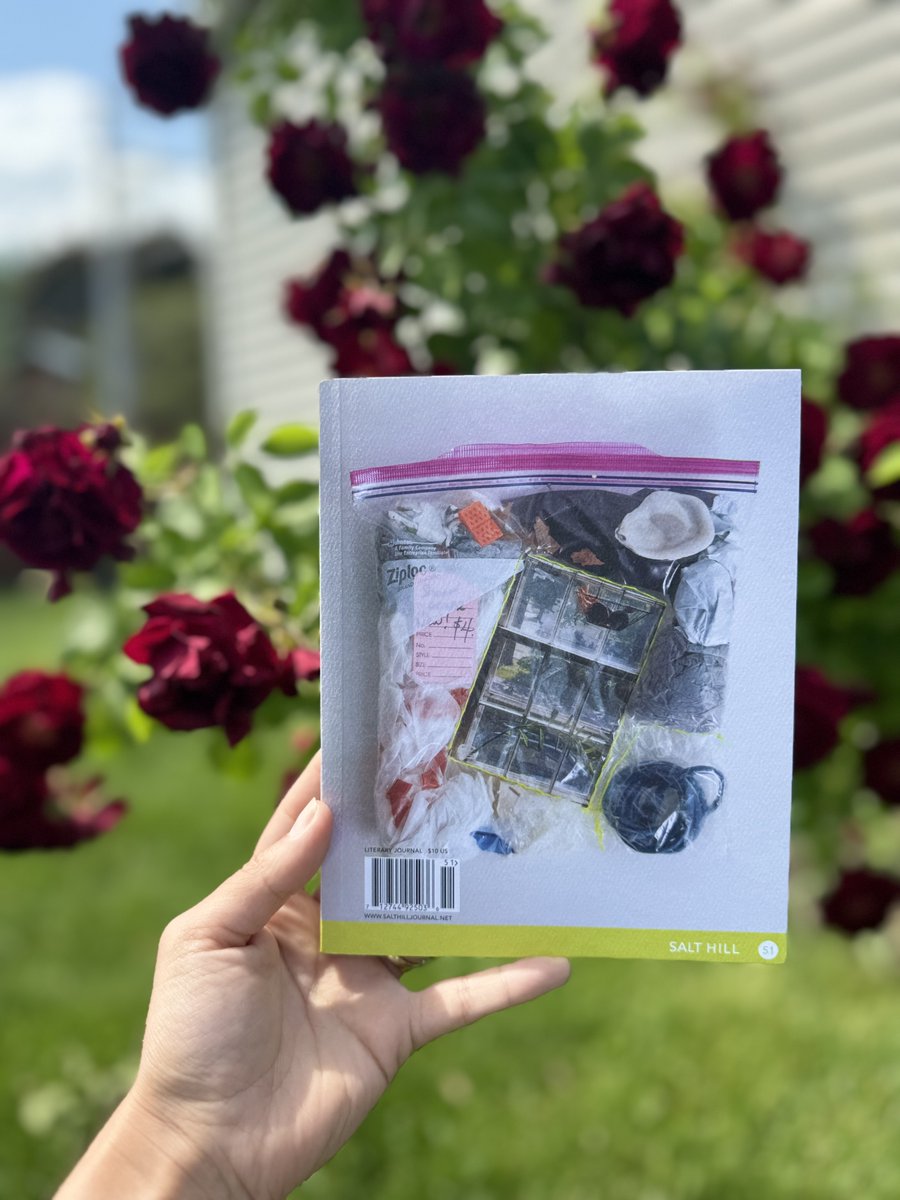 Nat Holtzmann tweet media