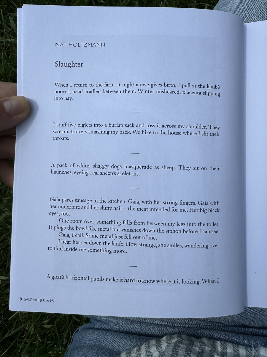 Nat Holtzmann tweet media