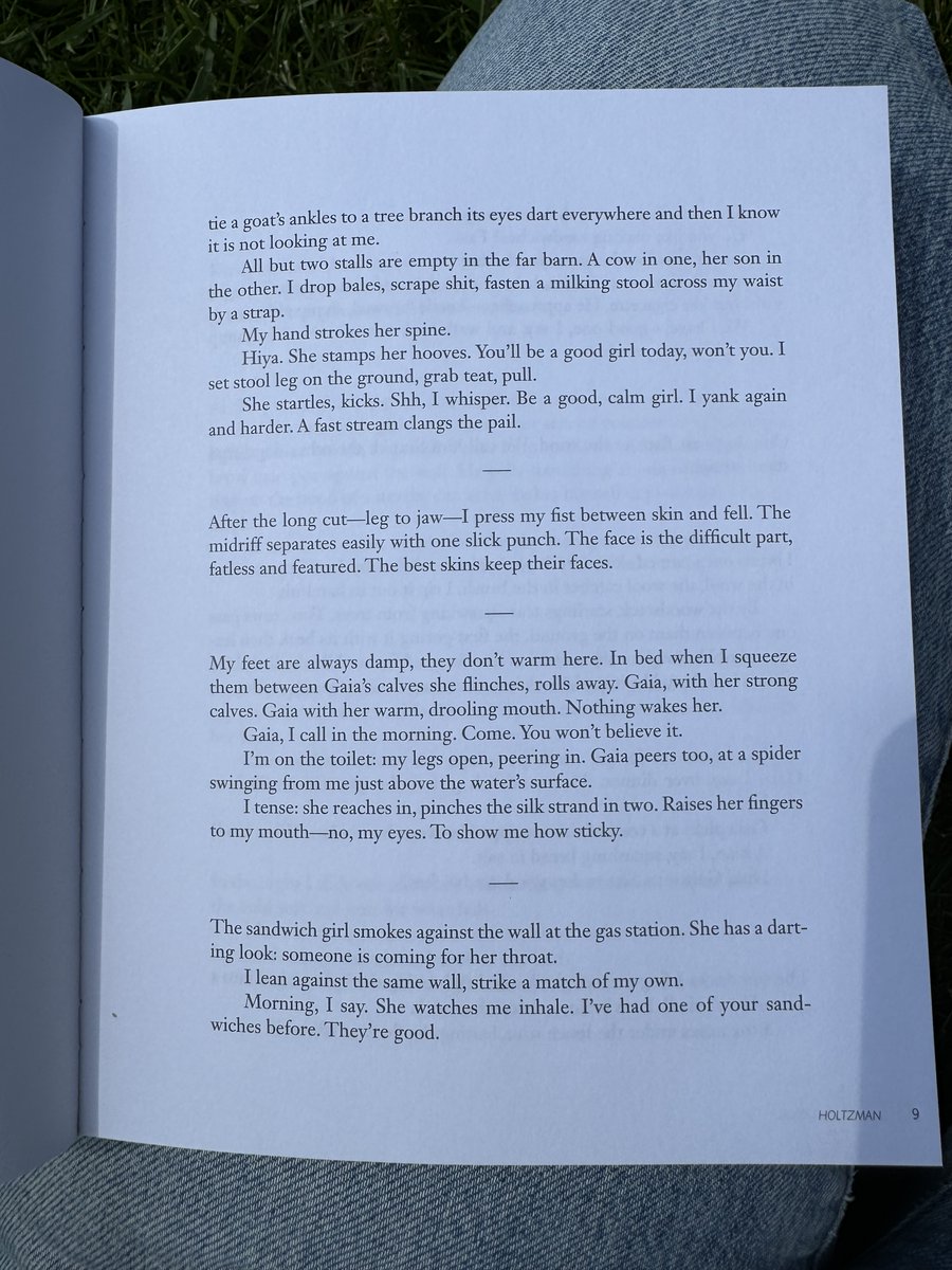 Nat Holtzmann tweet media