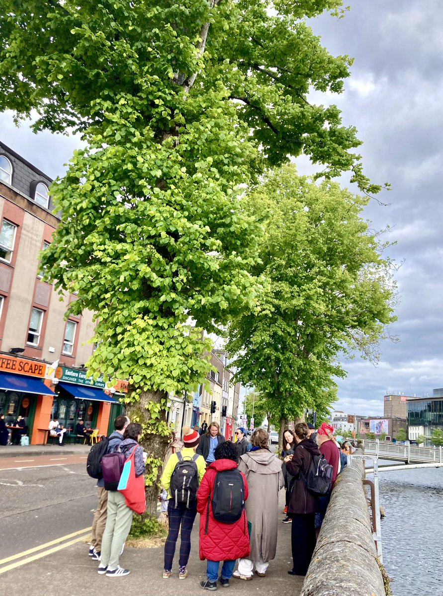 ChrisWolny's tweet photo. Wildlife of the steps and the Quays of the City walk #BiodiversityWeek #Cork https://t.co/gWeOXRcf0z