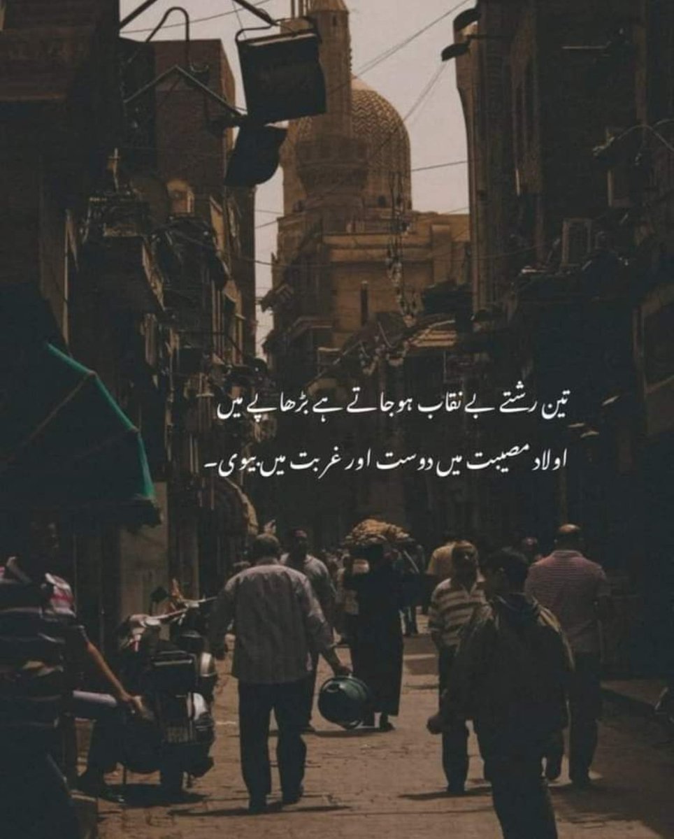 #indeed 🕊️

Good night X 🌃