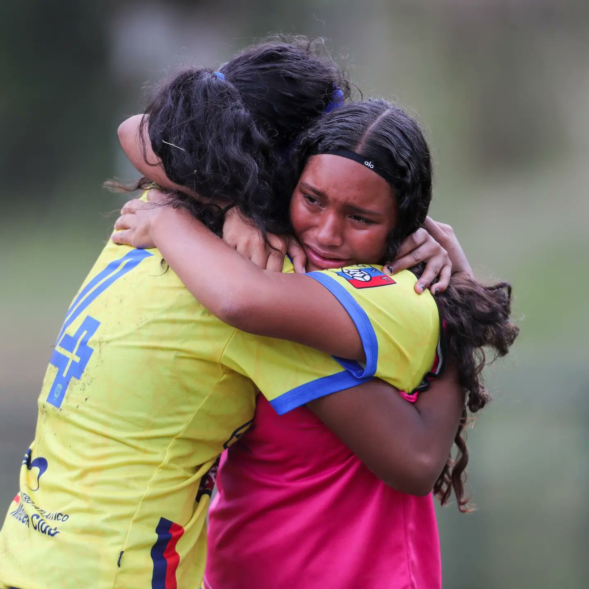 FVF_Oficial's tweet photo. 𝗖𝗮𝗺𝗽𝗲𝗼𝗻𝗮𝘀 𝘆 𝗮 𝗣𝗮𝗿𝗮𝗴𝘂𝗮𝘆 🇻🇪🇵🇾

Madeira Club son las campeonas de la Liga de Desarrollo Sub-17 femenina. Las larenses representarán a Venezuela por primera vez en la Fiesta CONMEBOL Evolucion. 

#LigaDeDesarrollo🇻🇪 https://t.co/n3ZRlD6KzX
