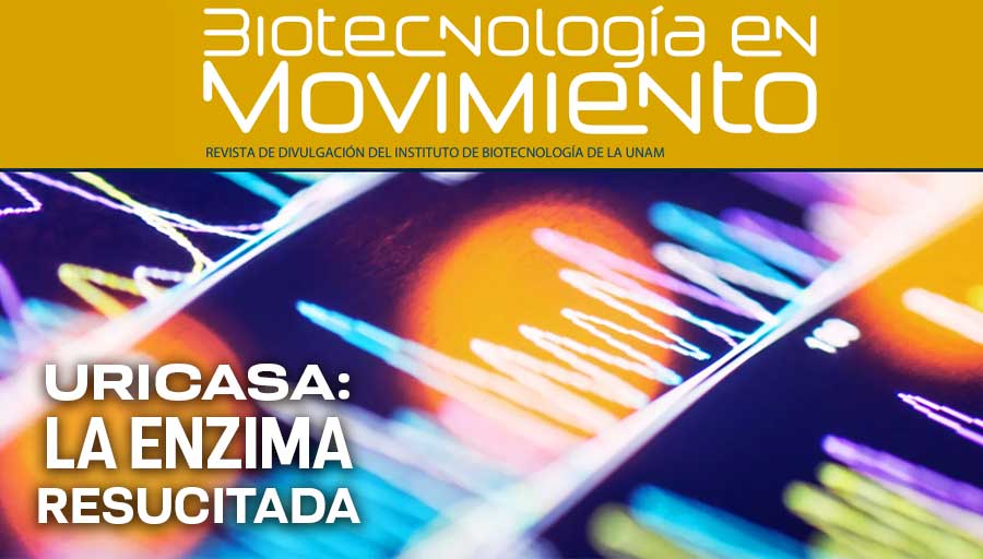 Con lo tranquila que vivía en el limbo de la biotecnología, llegan unos científicos y me resucitan. ¡Qué falta de consideración con una dama como yo! 😲 En la revista del @ibt_unam, una enzima 'cuenta' su regreso tras veinte millones de años desaparecida > bit.ly/4bgGmIy