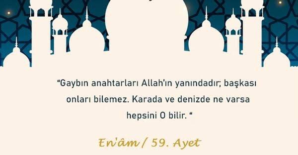 cannoozturkkx's tweet photo. @lamelaback https://t.co/7vEndygRYq