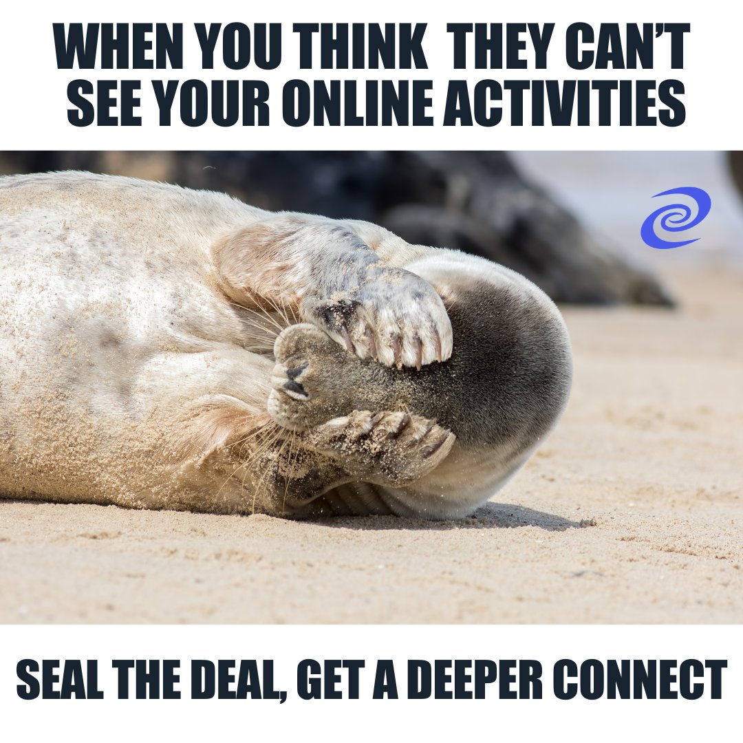 👁️‍🗨️ Those who don't have privacy! You think you’re safe online, or are you just as naive as this seal? 🦭 shop.deeper.network #privacy #meme #depernetwork