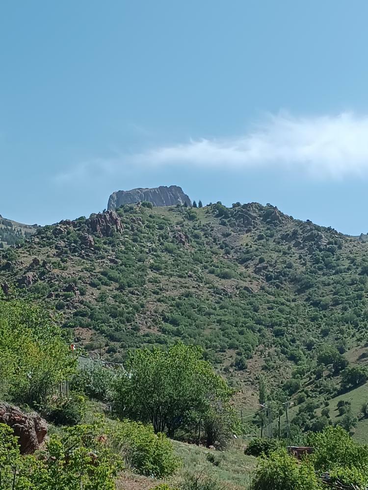 ayhan özkan (@ayhan03950732) on Twitter photo 