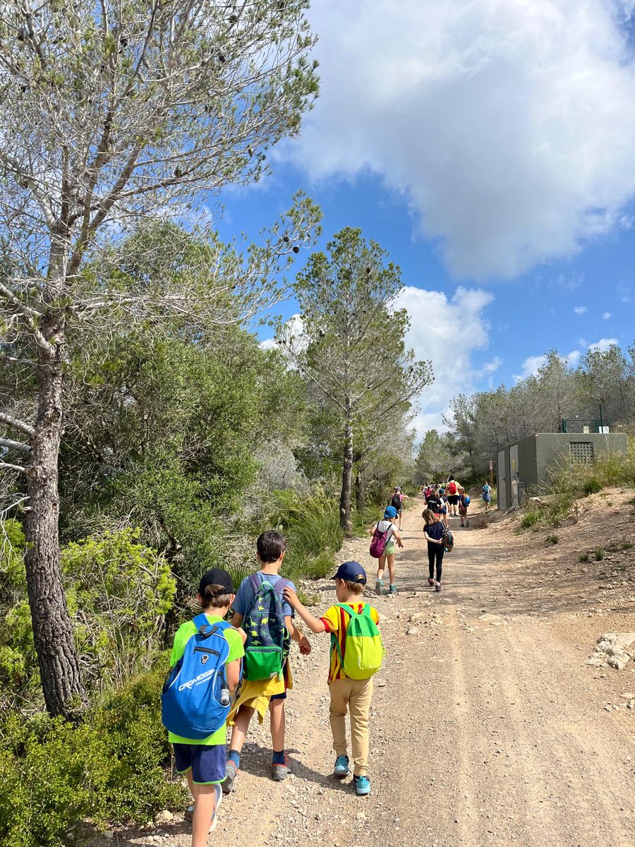 EAnglesola's tweet photo. Avui, a les #colònies de #1r excursió fins l'“Avenc de l’Esquerrà”, #arquitecturaRatoliniana #efímera a la tarda pel ratolí Martí, #troballa de la #closca de la nostra #famosa tortuga i fins i tot temps per celebrar un #aniversari! #CanGrau #ATotGasss https://t.co/MqWpzYmfy8