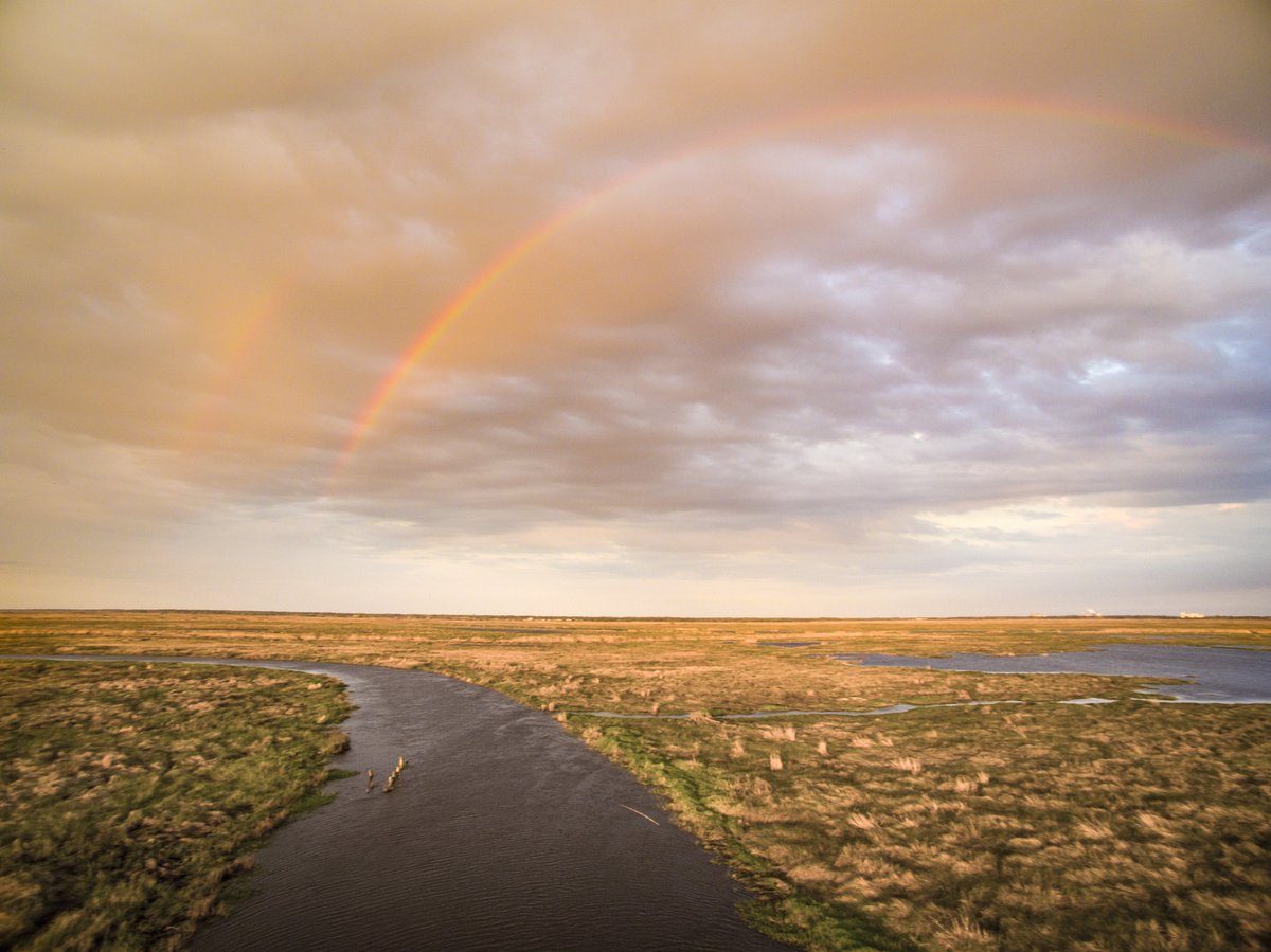 #AmericanWetlandsMonth: Celebrate by learning more about one of nature's most productive ecosystems & how we can all work together to conserve these vital habitats for waterfowl, other wildlife, & people. DU is proud to be the world's leader in wetlands conservation from right