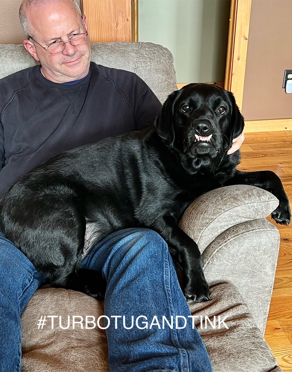 TINK: Have you sat on your hoo today??🤓🥳🥰 I loves to sit on dads lap. My favorite place in da whole wide world. Hope you have a pawtastic day, sweet frens!🥰🐾😘😘😘 #bethelove #dogsarelove #DogsAreFamily #labradorable #TurboTugandTink