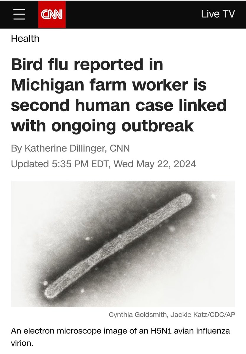 Another farm worker has tested positive for H5N1. I post these events, so WHEN we have a human outbreak, the antivaxers and virus deniers can't say 'it was created in a lab' or 'viruses don't exist'. Hopefully we will have MEDICATIONS AND VACCINES, to protect the population